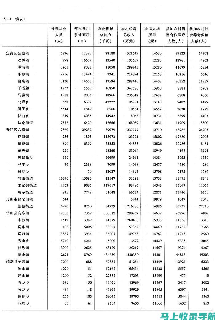 乡镇统计站长：确保统计数据准确性的守门人