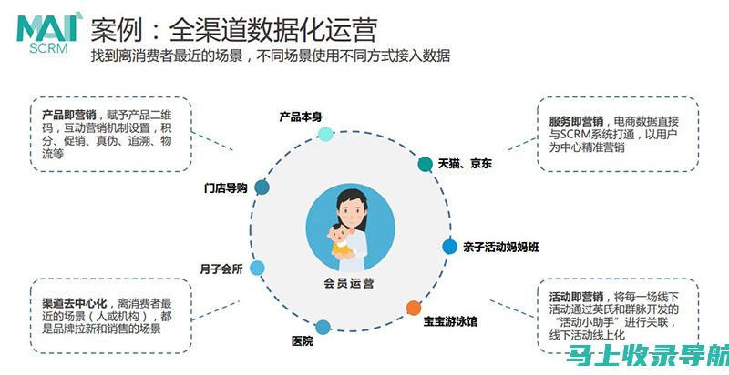 玩转数字营销：以网站推广实施的目的为起点，探索无限商机